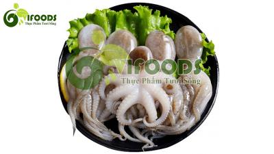 Bạch tuộc sống 10-15 con/kg