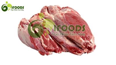 Bắp Hoa HILAL MS 60