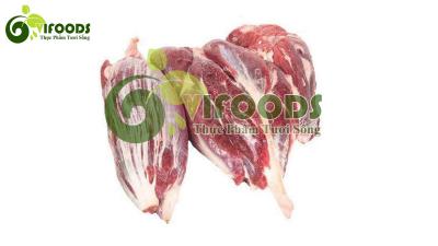 Bắp Rùa AL YAHYA 01