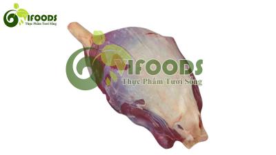 Bắp Rùa KAMIL MS 47