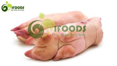 Chân heo sau đông lạnh nhập khẩu Hà Lan