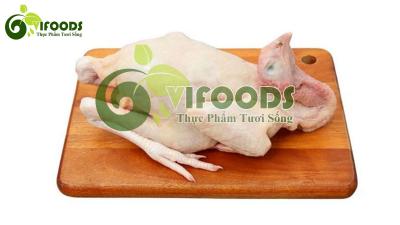 Gà ta thả vườn