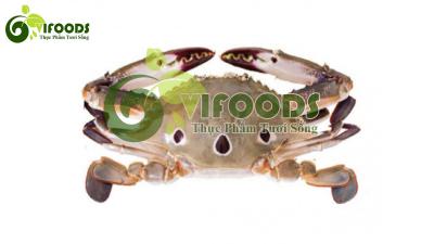 Ghẹ ba chấm sống 6-7 con/kg