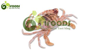 Ghẹ đỏ đông lạnh 4-5 con/kg