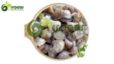 Móng Trâu AGRO MS22