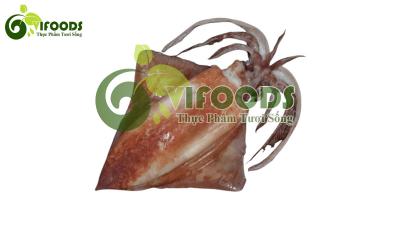 Mực lá đông lạnh 3-4 con/kg