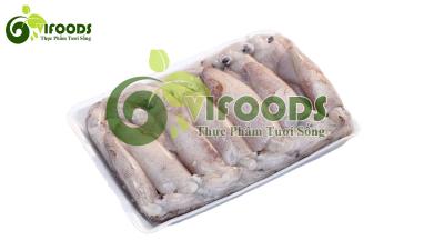 Mực ống câu 9-12 con/kg