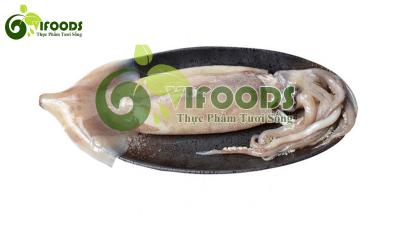 Mực ống đông lạnh 500-700 gr/con