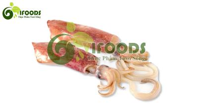 Mực trứng sống 30-40 con/kg