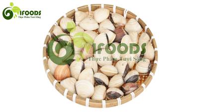 Nghêu biển sống 50-60 con/kg