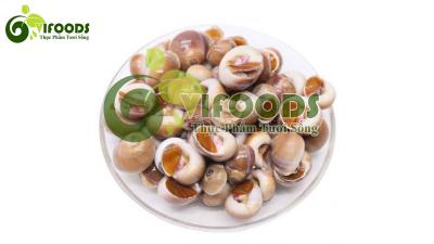 Ốc mỡ sống 20-30 con/kg