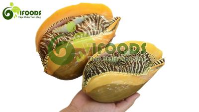 Ốc vôi thiên 1-1,5 kg/con