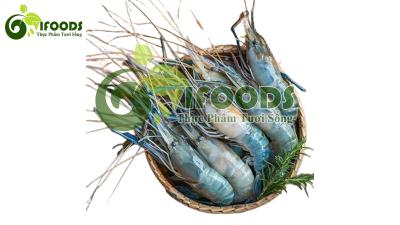 Tôm càng xanh đông lạnh 8-10 con/kg