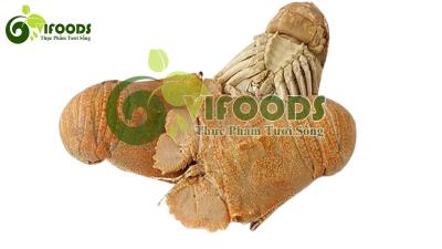 Tôm mũ ni trắng 4-6 con/kg