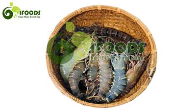 Tôm sú sống 50-60 con/kg