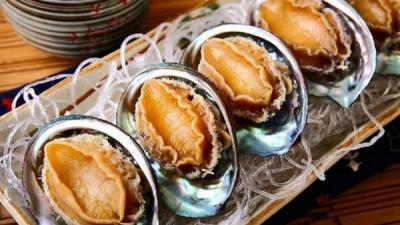 TOP 7 địa chỉ mua bào ngư tại Hà Nội